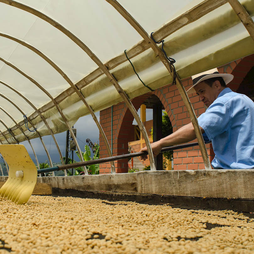 Кофе в зернах купаж арабики и робусты 50% на 50% свежей обжарки 1 кг - фото 7 - id-p2143937240