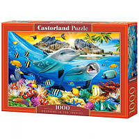 Пазлы Castorland`Дельфины`, 1000 элементов