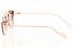 Жіночі окуляри 2024 року Dior-Techno-brown SunGlasses Dior-Techno-brown (o4ki-8359), фото 4
