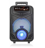 Потужна акустична колонка NDR-P44 Bluetooth 8 дюймів (Black), фото 3