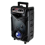 Потужна акустична колонка NDR-P44 Bluetooth 8 дюймів (Black), фото 5