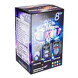 Потужна акустична колонка NDR-P44 Bluetooth 8 дюймів (Black), фото 9