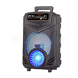 Потужна акустична колонка NDR-P44 Bluetooth 8 дюймів (Black), фото 4