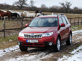 Subaru Forester 3 '08-12 (SH) 