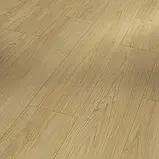 Ламінат PARADOR Дуб Монт Бланк натуральний, Classic 1050, 33, 8 мм — 1748724, фото 2