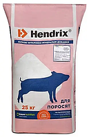Добавка БМВД для свиней старт 10-30 кг Хендрікc КТ10-30 25%