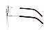 Жіночі окуляри 2024 року 1913brown SunGlasses 1913brown (o4ki-10116), фото 3