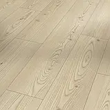 Ламінат PARADOR Лисниця Юкон бежева, Classic 1050, 33, 8 мм — 1748722, фото 2