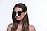 Жіночі окуляри 2024 року 8167c1 SunGlasses 8167c1 (o4ki-10210), фото 5