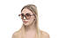 Жіночі окуляри 2024 року 1349c2 SunGlasses 1349c2 (o4ki-10789), фото 5