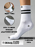 Набір шкарпеток Лео Теніс Sport Cotton 44-46 6 пар Чорний/Білий, фото 5