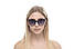 Жіночі окуляри 2024 року 3863bl SunGlasses 3863bl (o4ki-10856), фото 5