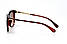 Жіночі окуляри 2024 року 3803br SunGlasses 3803br (o4ki-11024), фото 4