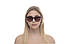 Жіночі окуляри 2024 року 3803br SunGlasses 3803br (o4ki-11024), фото 5