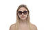 Жіночі окуляри 2024 року 3862br-w SunGlasses 3862br-w (o4ki-11027), фото 4