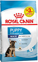 Сухий корм для собак Royal Canin SHN MAXI PUPPY 12 кг + 3 кг