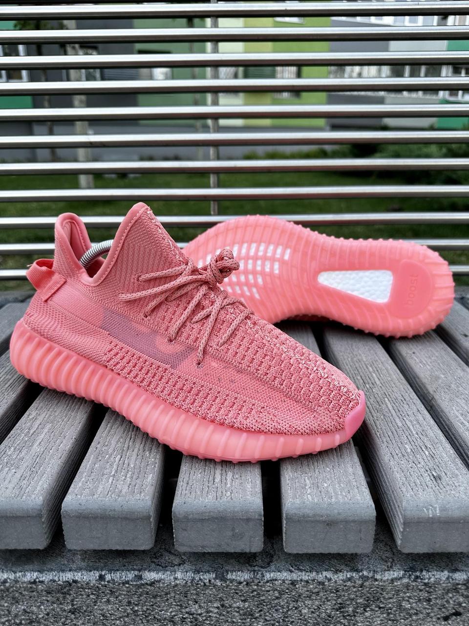 Стильні яскраві жіночі кросівки Adidas Yeezy рожевого кольору, красиві лігкі молодіжні кеди ізікі