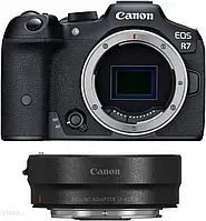 Фотоапарат Canon EOS R7 + adapter EF-EOS R