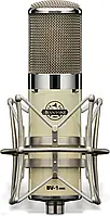 Мікрофон Avantone BV-1 MKII | Studyjny wielkomembranowy mikrofon lampowy ze zmienną charakterystyką, kapsuła