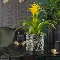 Кашпо для квітів Scheurich Inspiration 1,52 л 14", рептилія