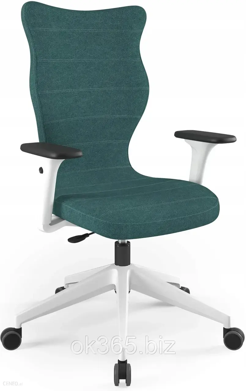 Крісло Entelo Krzesło biurowe Nero WH Castel rozmiar 7 (180+ cm) zielony - фото 1 - id-p2144387613