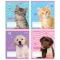 Зошит шкільний 12 аркушів коса лінія Kite Rachael Hale R24-235, 68133