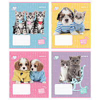 Зошит шкільний 12 аркушів коса лінія Kite Studio Pets SP24-235, 68134