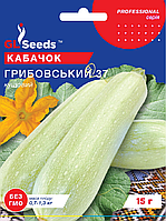 Семена Кабачка Грибовский (15г), Professional, TM GL Seeds