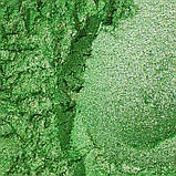 Пігмент перламутровий PG/10-100 зелений, фото 2