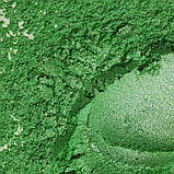 Пігмент перламутровий PG/10-100 зелений, фото 3