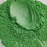 Пігмент перламутровий PG/10-100 зелений, фото 5