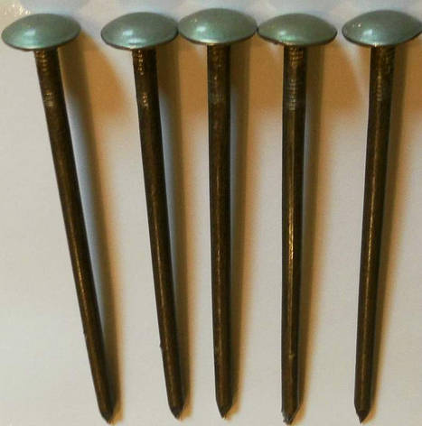 Цвяхи шиферний, фото 1