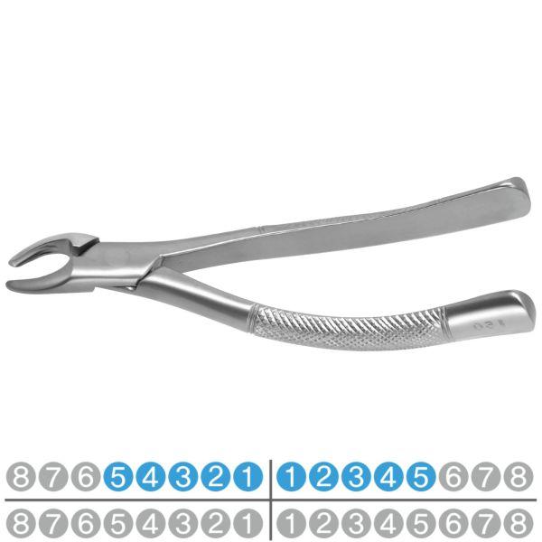 Щипці FX150 для видалення верхніх передніх зубів і премілярів 5-1 1-5 тип Hu-Friedy, фото 1