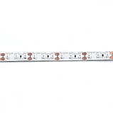 Світлодіодна стрічка Venom SMD 2835 120д.м. (IP65) Standart зелена (VST-2835121201-G) Зелений, фото 3