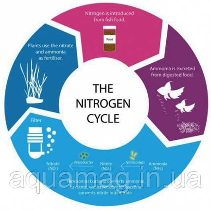 Тест капельный Colombo NH3 Test (Ammonia) для ставка, водойми, УЗВ, озера, фото 3