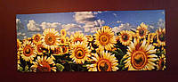 Картина на холсте Поле подсолнухов CAMPO DI GIRASOLE Pintdecor Италия