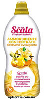 Концентрированный кондиционер-ополаскиватель Scala Ammorbidente Vanilla&Fresia 1500 мл 60 стирок