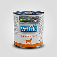 Влажный диетический корм Vet Life Convalescence для собак для восстановления питания и выздоровления, 300 г