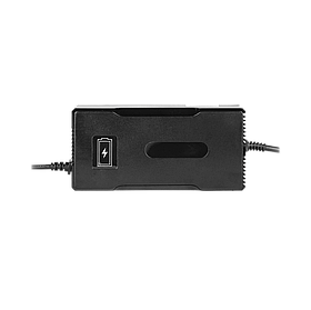 Зарядний пристрій для акумуляторів LiFePO4 24V (29.2V)-7A-168W-C13
