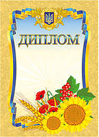 Комплект 5 шт Диплом мармуровий з місцем для привітання Ранок