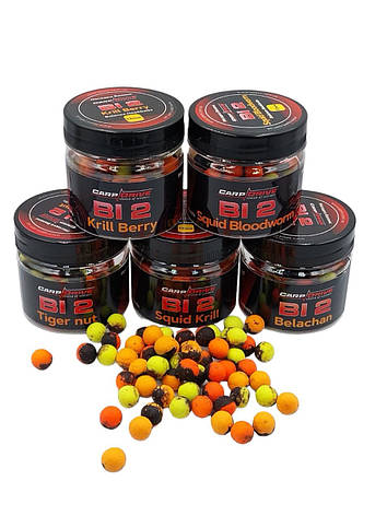 Набір для риболовлі, набір бойлів, Насадка Balance Bi2 Carp Dream, фото 1