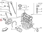Датчик тиску масла на Fiat Qubo, Peugeot Bipper, Citroen Nemo (07-...), 55202374, 1131J5, фото 5
