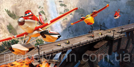 Фотообої Chameleon Литачки в небі 100х100 см, фото 1