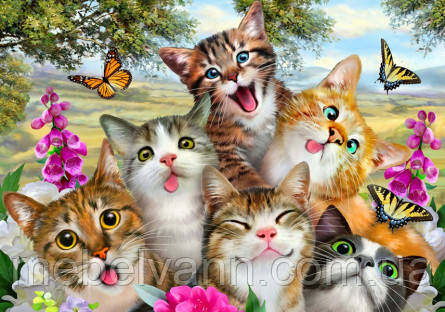 Фотообої Chameleon Кошенята 100х100см, фото 1