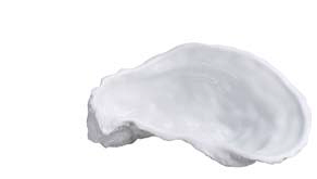 Дегустаційне блюдце OYSTER матове