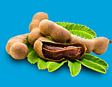 Паста Тамариндова, Tamarind paste, TM Asiana, 454 г, ZUS, фото 3