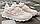 Жіночі кросівки шкіряні весняно-осінники бежеві Best Vak Р10248-505 (39), фото 3