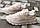 Жіночі кросівки шкіряні весняно-осінники бежеві Best Vak Р10248-505 (39), фото 5