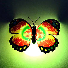 Мінінічник «Метелик», фото 3