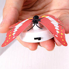 Мінінічник «Метелик», фото 5